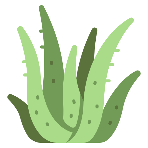 aloe-vera